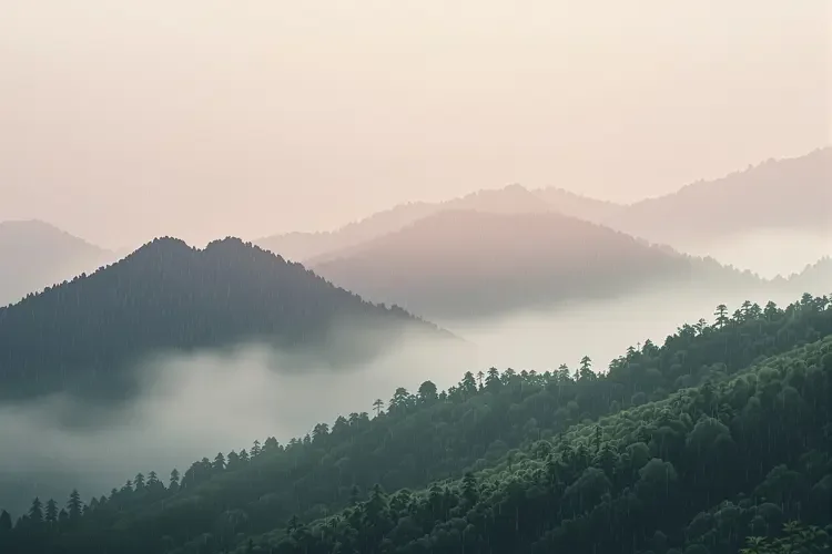 雨润山青 - 窝窝影院专题合集
